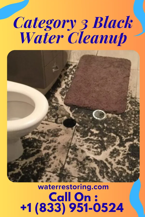 Category 3 Black Water Cleanup in Rye, AR