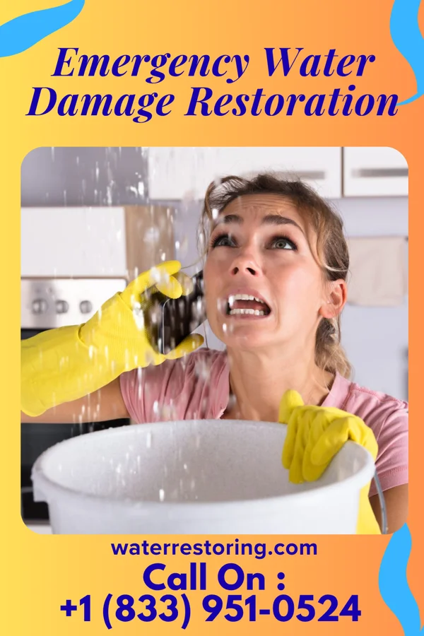 Emergency Water Damage Restoration in Rye, AR