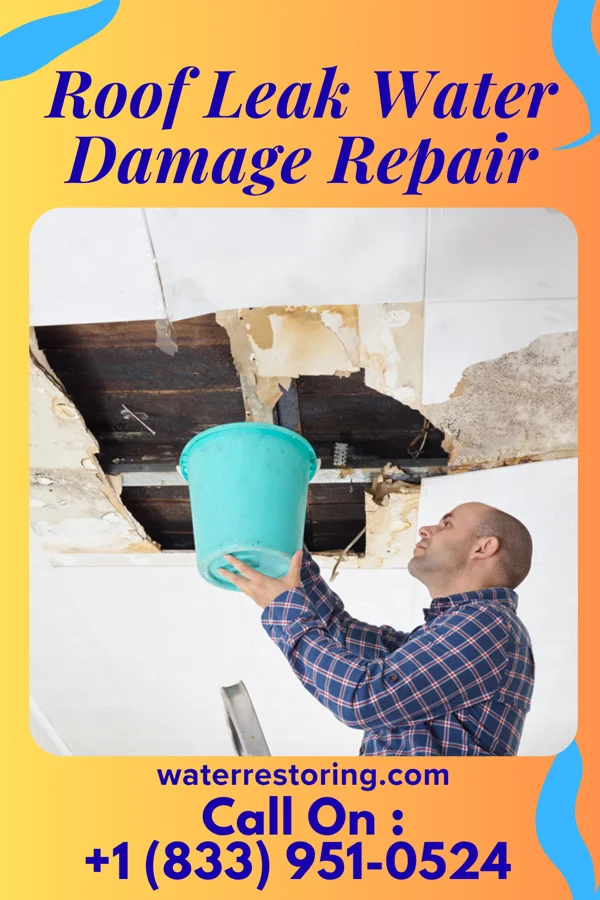 Roof Leak Water Damage Repair in Rye, AR