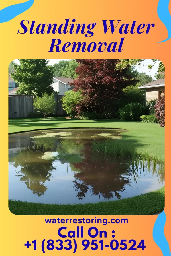 Standing Water Removal in Rye, AR